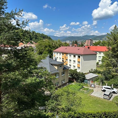 We Apartment - Close To The Center & City View, Self Check-In 24H バンスカー・ビストリツァ エクステリア 写真