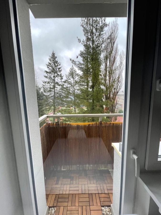 We Apartment - Close To The Center & City View, Self Check-In 24H バンスカー・ビストリツァ エクステリア 写真