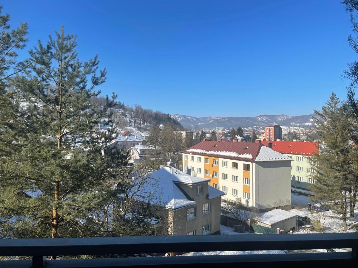 We Apartment - Close To The Center & City View, Self Check-In 24H バンスカー・ビストリツァ エクステリア 写真