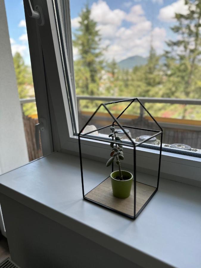 We Apartment - Close To The Center & City View, Self Check-In 24H バンスカー・ビストリツァ エクステリア 写真